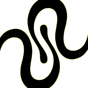 Squid